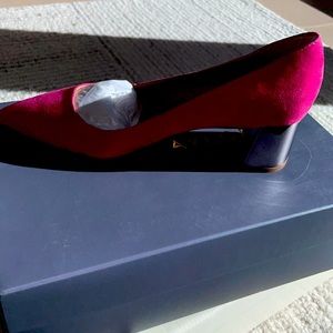 New in the box. Ann Taylor pump Rose 5.5
